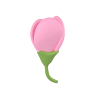 3D icon render spring Cherry flower unopened bud Blossom Sakura illustration. Simple and cute petal isolated transparent png backgroundath