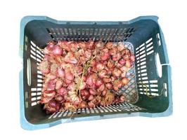 Onions in plastic hi-res top view with white background photo