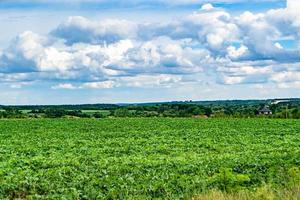 hermoso paisaje de horizonte en la pradera del pueblo sobre fondo natural de color foto