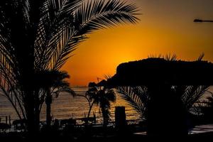 orange sunset in the turkish city of alanya with palm trees and the sea photo