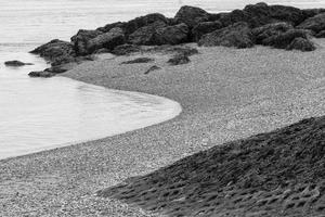 Contrasts of Low Tide photo