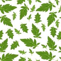 Seamless pattern of green tomato leaves on a white background vector