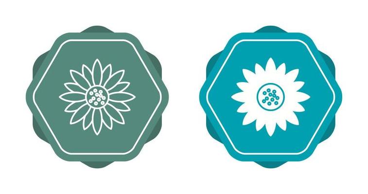 Sunflower Vector Icon