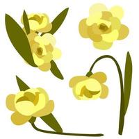 Spring set of yellow flowers with stems. A set of vector images of isolated realistic rose petals, flowers, branches, leaves. Illustration of the design of a spring growing flower