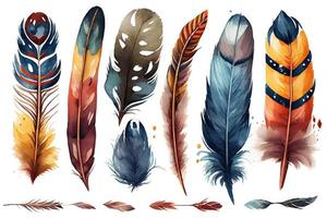 Set of watercolor bird feathers. Hand drawn illustration photo