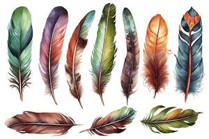 Set of watercolor bird feathers. Hand drawn illustration photo