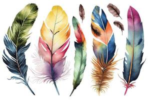 Set of watercolor bird feathers. Hand drawn illustration photo