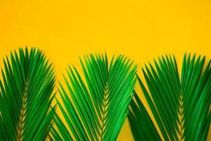 hojas de palmera tropical verde sobre fondo amarillo brillante. diseño de naturaleza creativa hecha hojas. arte conceptual. concepto de verano, fondo de hoja de palmera tropical, espacio para texto. foto