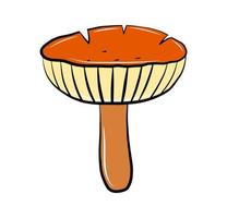 Colorful mushroom vector icon isolated on white, cartoon sticker, autumn season harvest vegetable.