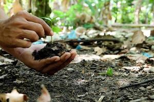 Green plants start growing from seed in organic soil in farmer's hands photo