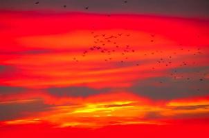 Real amazing panoramic sunrise or sunset sky with gentle colorful clouds. Long panorama, crop it photo