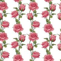 Seamless pattern with pink roses. Botanical texture with beautiful flowers. Romance, valentine s day. Great for wrapping paper, textiles, wallpapers. vector