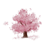 en körsbär blomma träd vattenfärg png