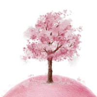 A cherry blossom tree watercolor png