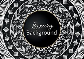 Elegant banner with intricate, parallel white lines on a dark background. Vector pattern, abstract geometric.