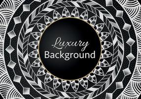 Elegant banner with intricate, parallel white lines on a dark background. Vector pattern, abstract geometric.