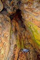 interesting original cave in the Turkish mountains with stalactites and stalagmites creating the background photo