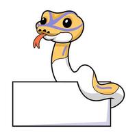 Cute banana pied ball python cartoon with blank sign vector