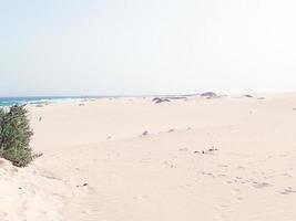 paisaje desde el Español canario isla fuerteventura con dunas y el Oceano foto