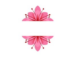 Pink Flower Ornament Border Design png