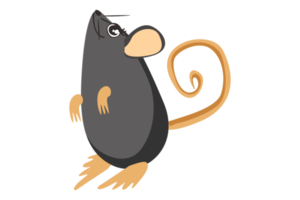 schattig dier - Rat - muis png