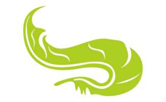 diseño elementos - verde pájaro pluma con transparente antecedentes png