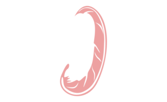 diseño elementos - rosado pájaro pluma con transparente antecedentes png