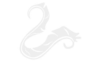 diseño elementos - blanco pájaro pluma con transparente antecedentes png