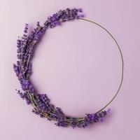 Lavender circle frame. Illustration photo