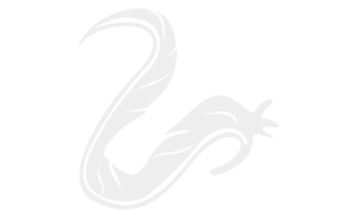 diseño elementos - blanco pájaro pluma con transparente antecedentes png