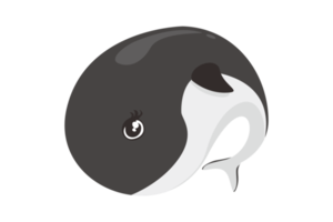 Cute Animal - Whale png