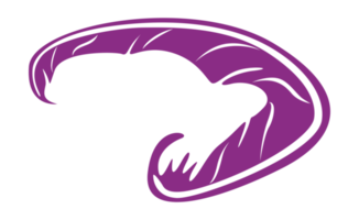 ontwerp elementen - Purper vogel veer met transparant achtergrond png