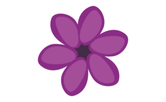 Flower - Purple Flower Petals png