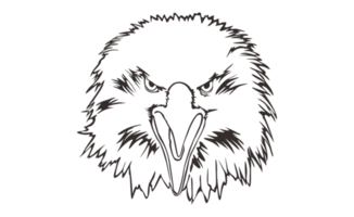 Animal - Eagle Head Line Art png