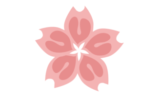 bloem - roze sakura bloem bloemblaadjes png