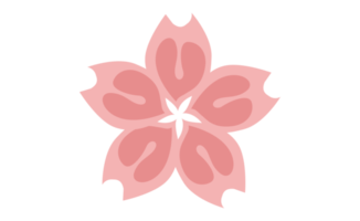 fiore - rosa sakura fiore petali png