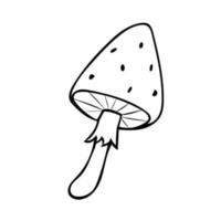 Hand-drawn mushroom. Vector illustration in the style of a doodle.