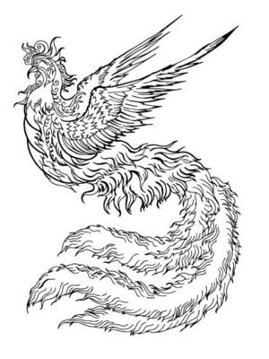 Design asian phoenix bird element outline art