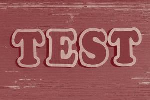 word test made of wooden letters on wood background photo