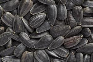 close up of sunflower seeds background photo