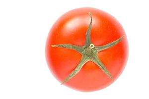 close up of red tomato isolated on white photo