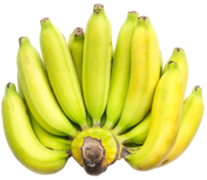 Ripe Cavendish banana png