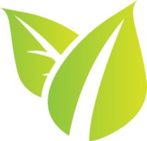 vert feuille pour spa ou éco concept png