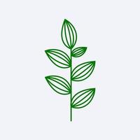 green fresh leaf design vector