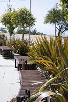 Wooden bench and tropical plants on the terrace of a park with a sea view. Landscape design at the recreation park. photo