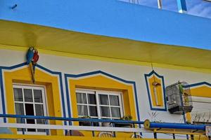 ciudad de corralejo en el Español canario isla fuerteventura en un calentar fiesta día foto