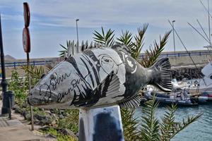 colorful fun fish monuments in the port of Corralejo, Spain photo