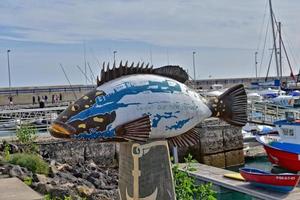 vistoso divertido pescado monumentos en el Puerto de corralejo, España foto