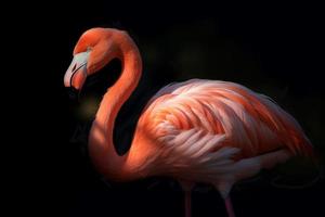 Flamingo in sunny light. Generate Ai photo