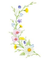 Floral compositions with hand drawn watercolor wild herbs and flowers. vector